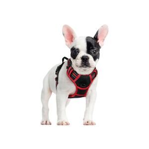rabbitgoo Dog Harness, No-Pull Pet Harness with , Adjustable Soft Black & Red, S